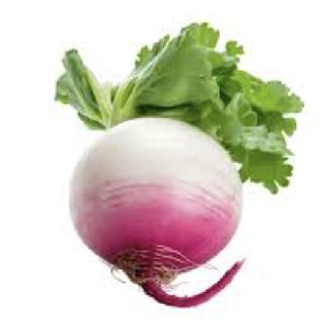 Turnip