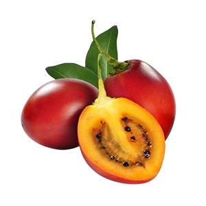 Tree Tomato
