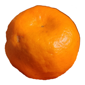 Orange(Nepali)