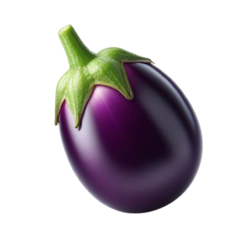 Brinjal Round