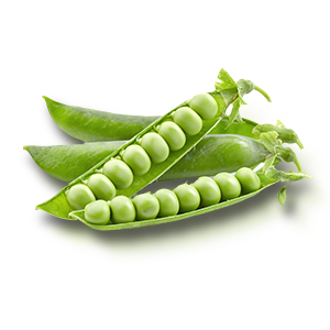 Green Peas