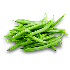 French Bean(Hybrid)