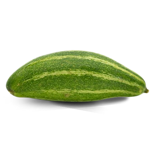 Pointed Gourd(Terai)