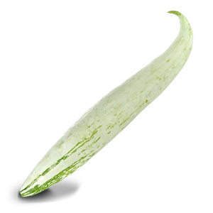 Snake Gourd