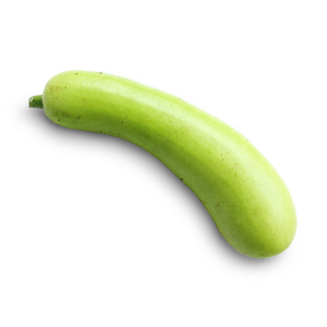 Smooth Gourd