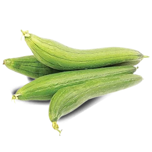 Sponge Gourd