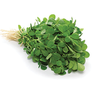 Fenugreek Leaf
