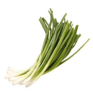 Onion Green