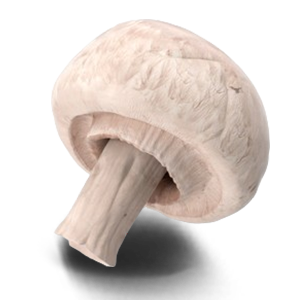 Mushroom(Button)
