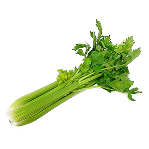 Celery