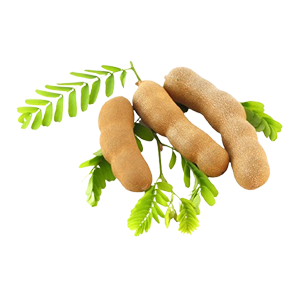 Tamarind