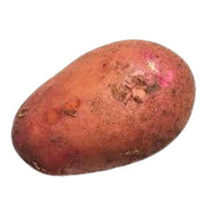 Potato Red