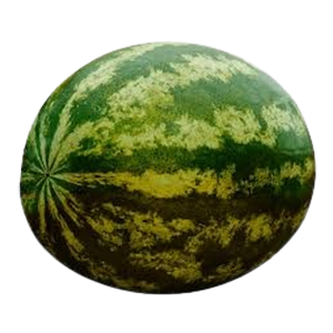 Water Melon(Green)