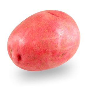 Potato Red(Indian)