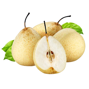 Pear(Chinese)