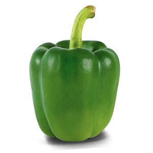 Capsicum