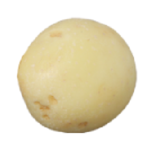 Potato White