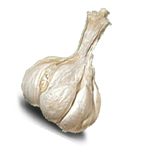 Garlic Dry Nepali